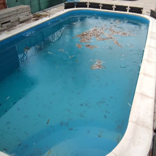 IMG_20231219_090412 scaled e1708889345267